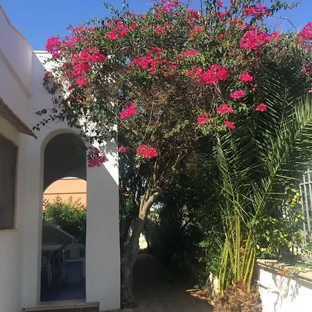 Bouganville Villa *