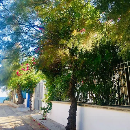 Bouganville Villa San Pietro in Bevagna