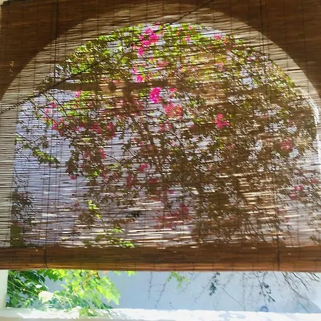 Villa Bouganville *